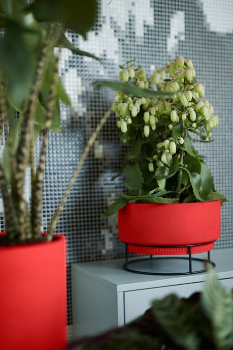 b.for studio schaal 30cm briljant rood